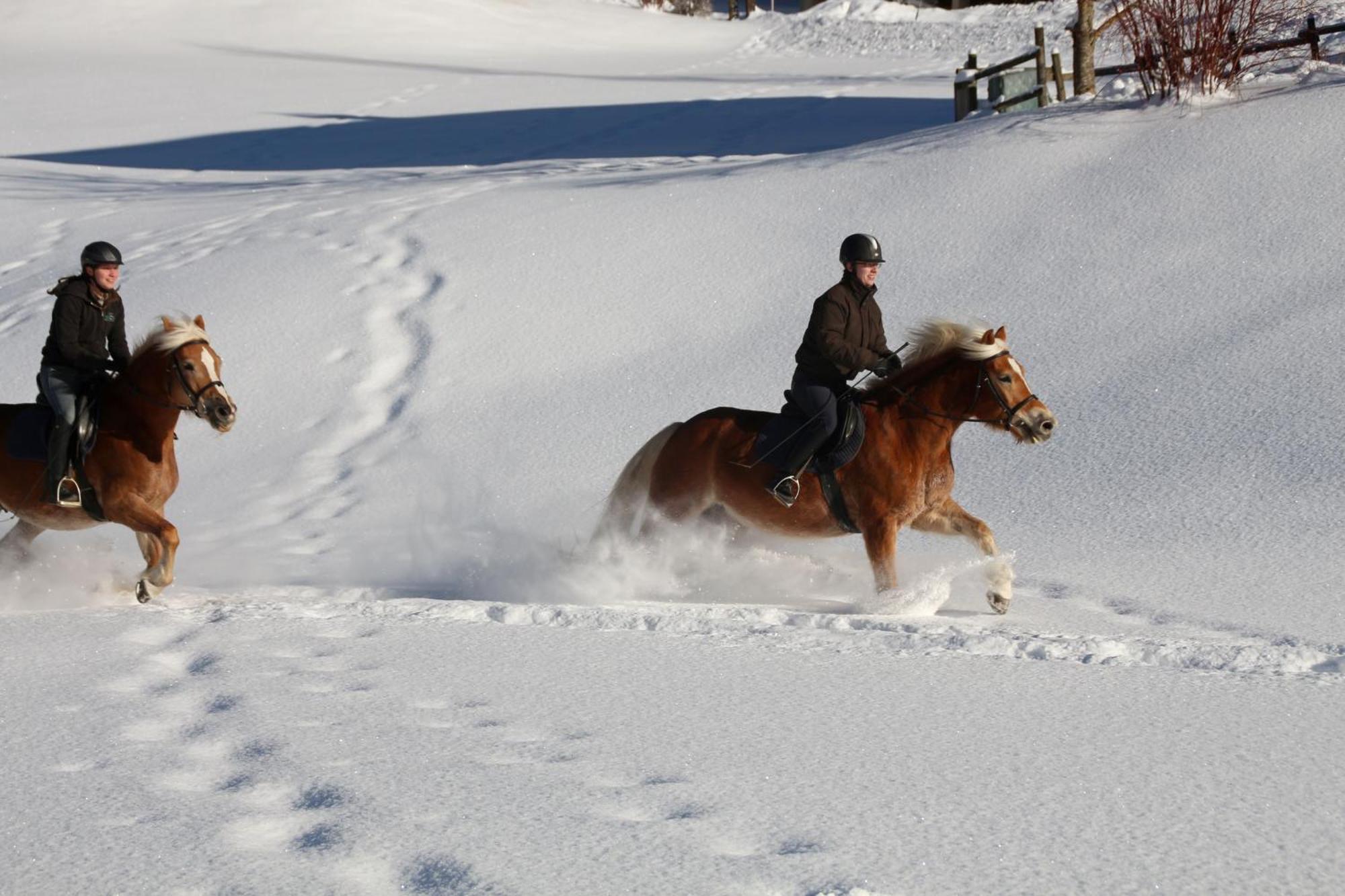 By Alpenlodge Hotel