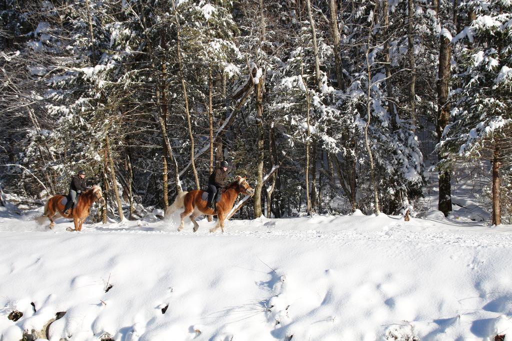 By Alpenlodge 4* Brand (Vorarlberg)